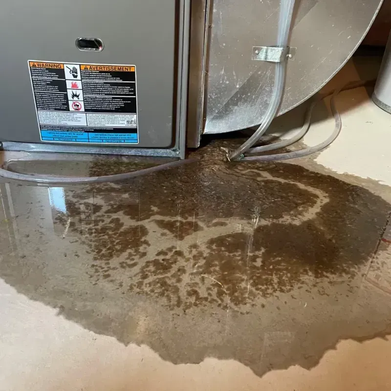 Appliance Leak Cleanup in Manhasset, NY